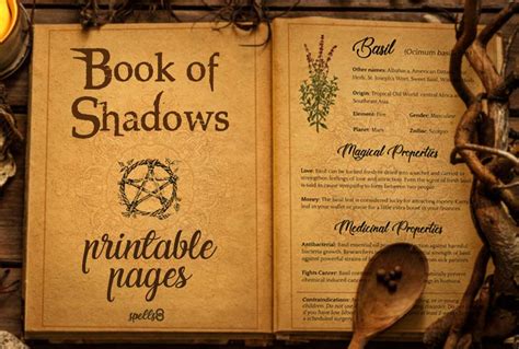 Book Of Shadows brabet